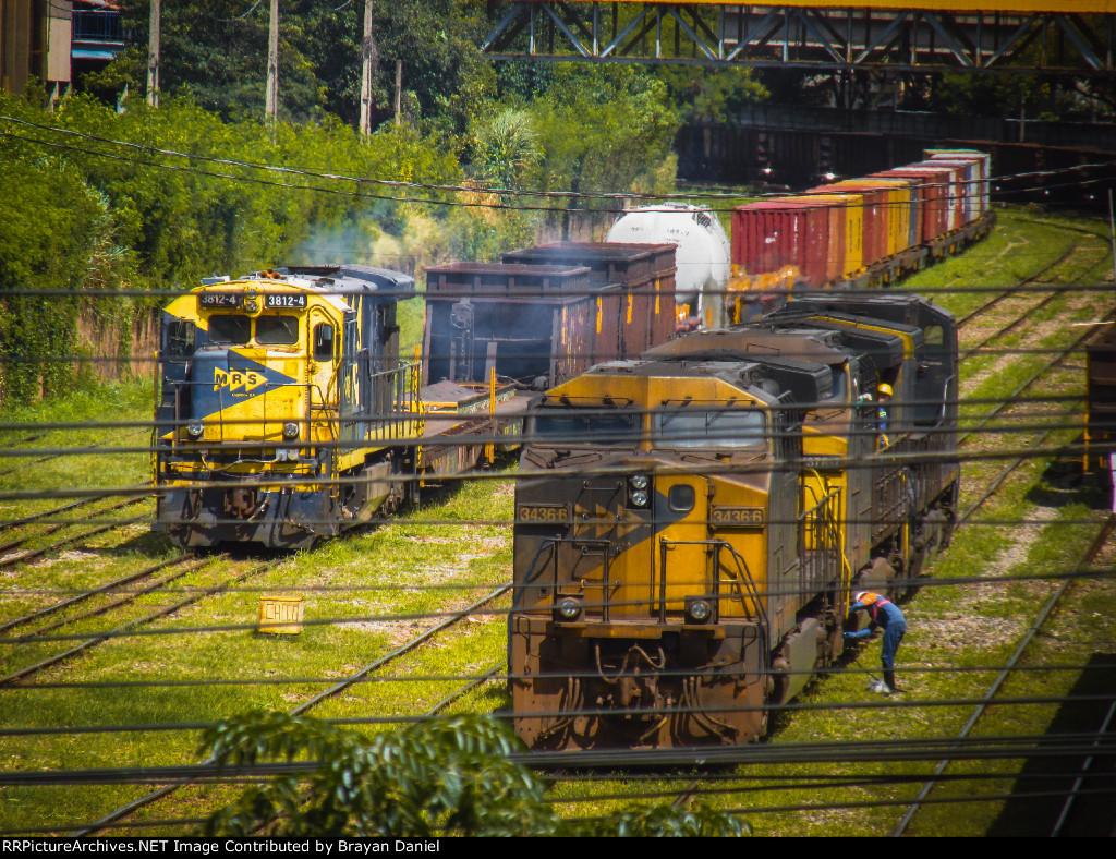 MRSL 3436